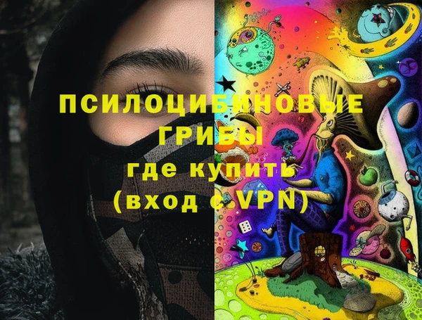шишки Алексеевка