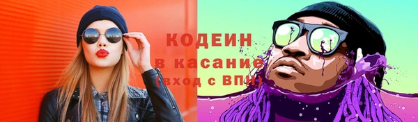 шишки Алексеевка