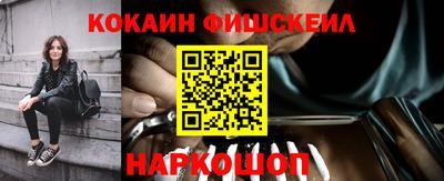 амф Кингисепп