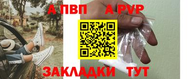 амф Кингисепп