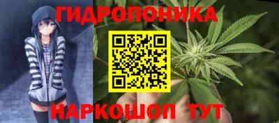 трава Кинель