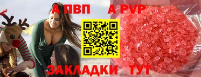 амф Кингисепп