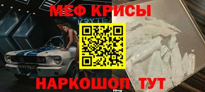 амф Кингисепп