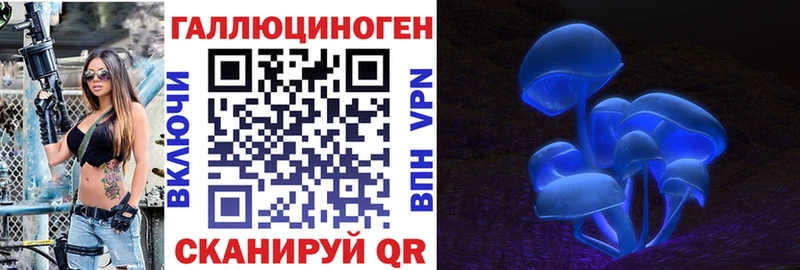 наркошоп  Лесной  Псилоцибиновые грибы мицелий 