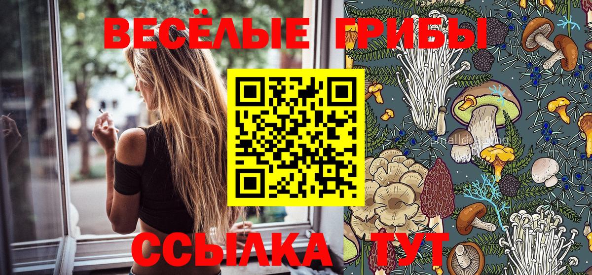 даркнет сайт  Галлюциногенные грибы ЛСД  Вход с VPN  Лесной 