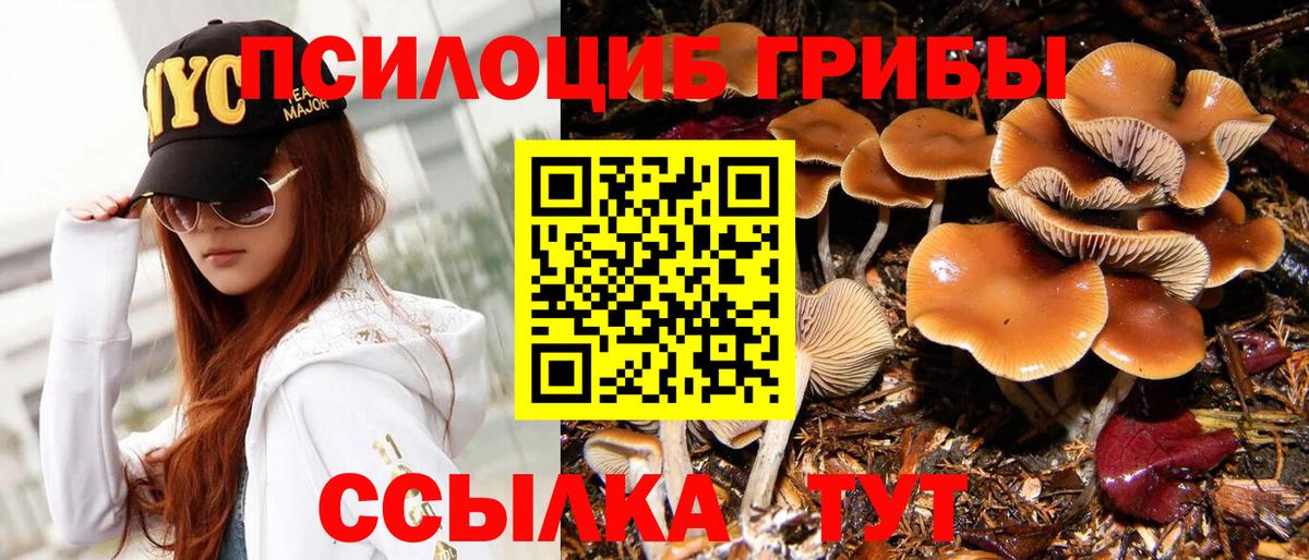 Галлюциногенные грибы GOLDEN TEACHER Лесной